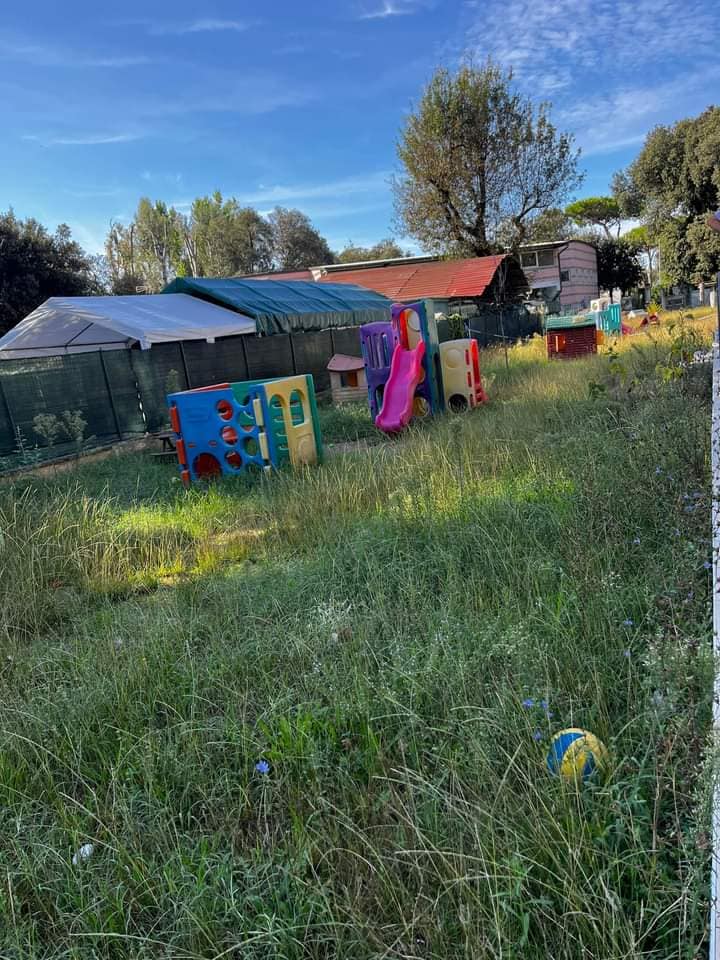 Inizio anno scolastico con lamentele per il mancato servizio di manutenzione