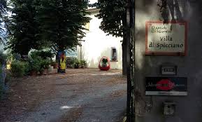 San Valentino – 5 MUSEI ESPONGONO 265 cartoline PASSION LOVE