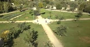 Caltanissetta, chiudere il Parco Dubini è una ferita alla città: il verde storico sbarrato ai cittadini