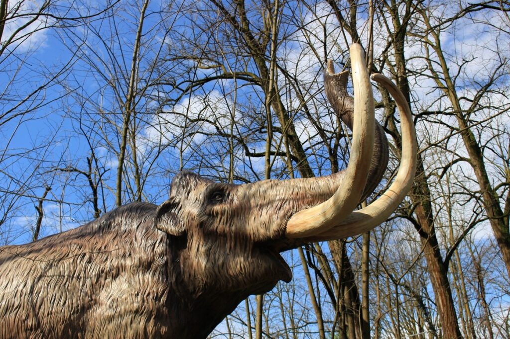 Segnalazione mostra. Auronzo Tre Cime. Dai dinosauri ai mammut, la storia continua: un’estate da brivido, l'»era glaciale» e i grandi mammiferi a dimensione reale in mostra