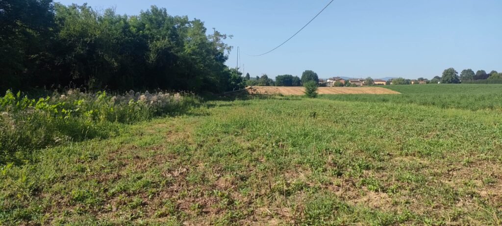 Nuova riforestazione modenese (+167 piante)_ GIO 28 NOV a Castelnuovo Rangone si inaugura il Bosco di Kia