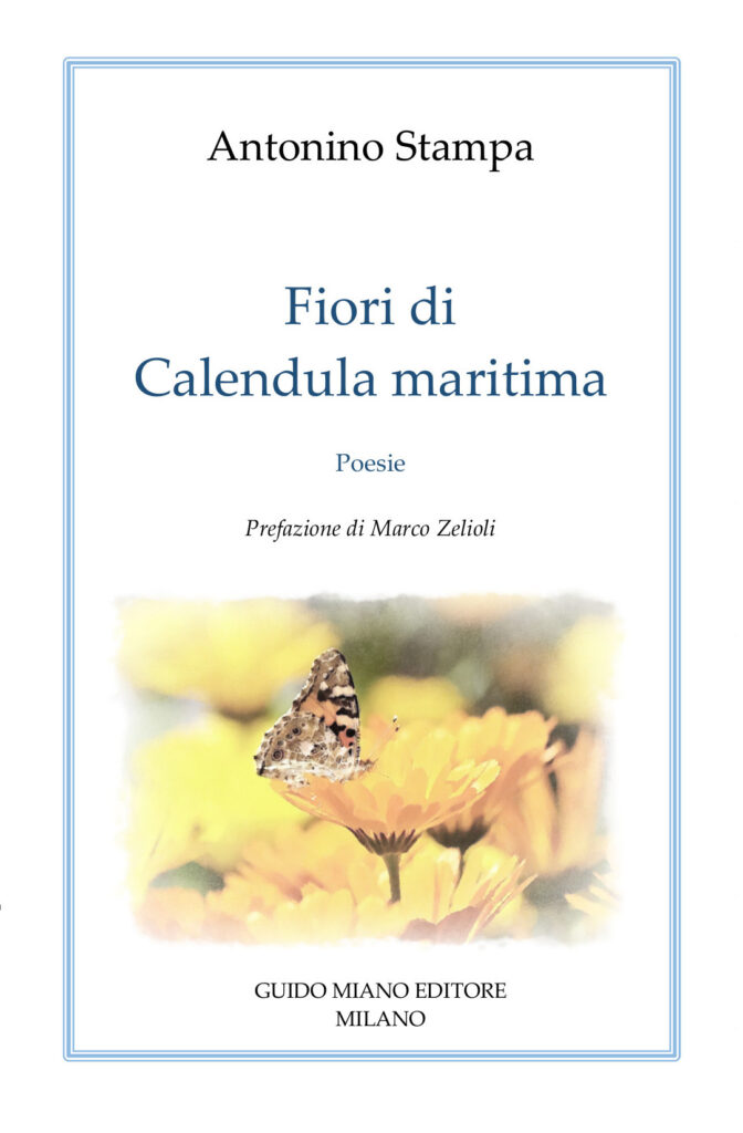 Antonino Stampa, Fiori di Calendula maritima, Guido Miano Editore, Milano 2024